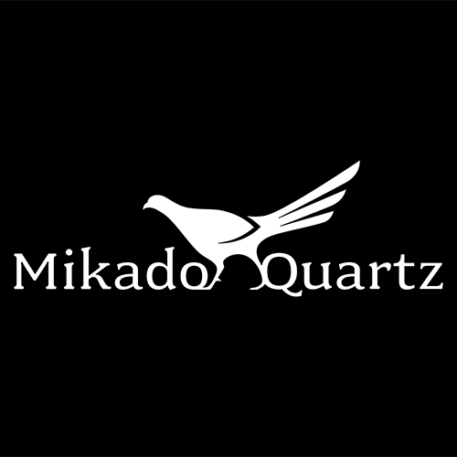 Saiens Logo