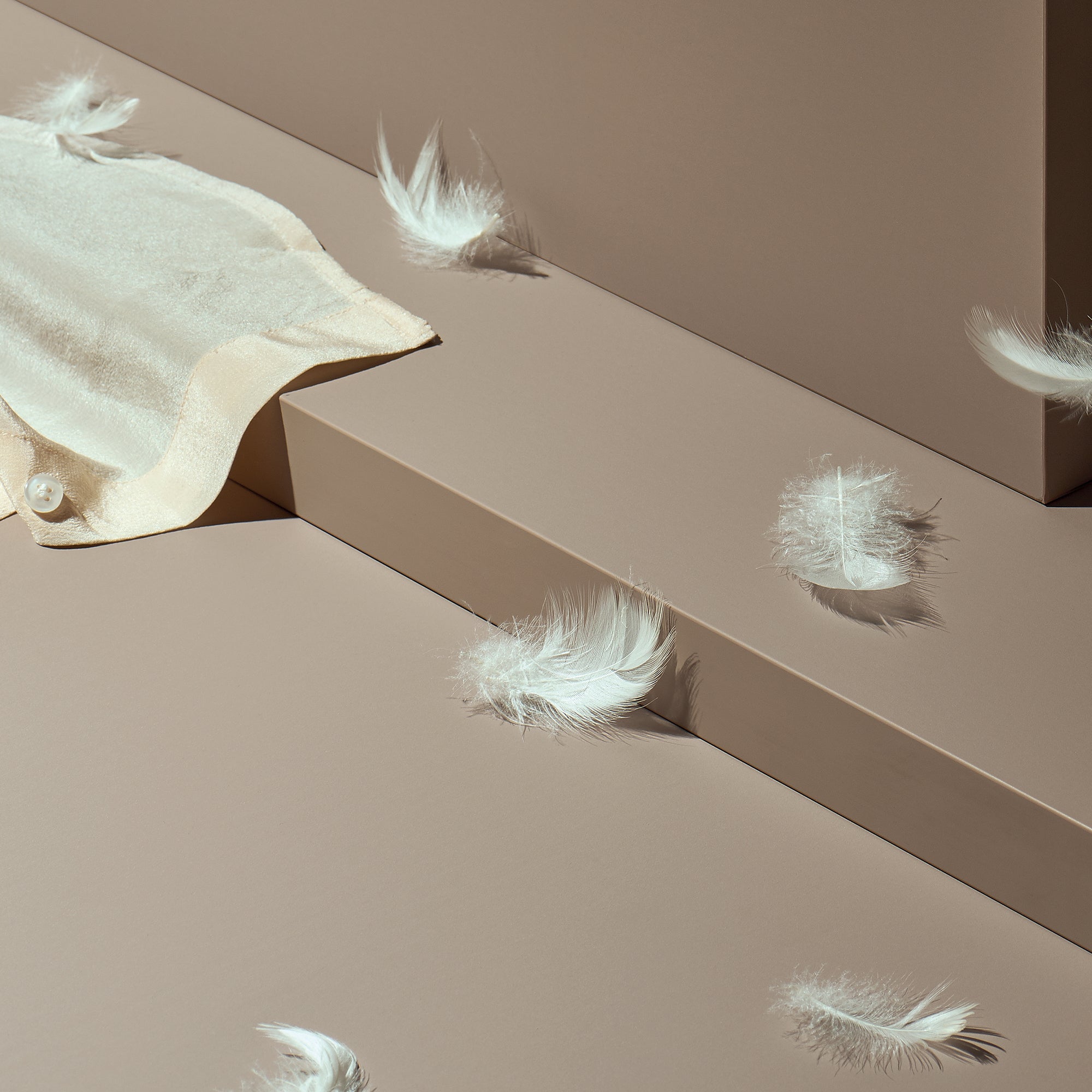 FENIX Banner