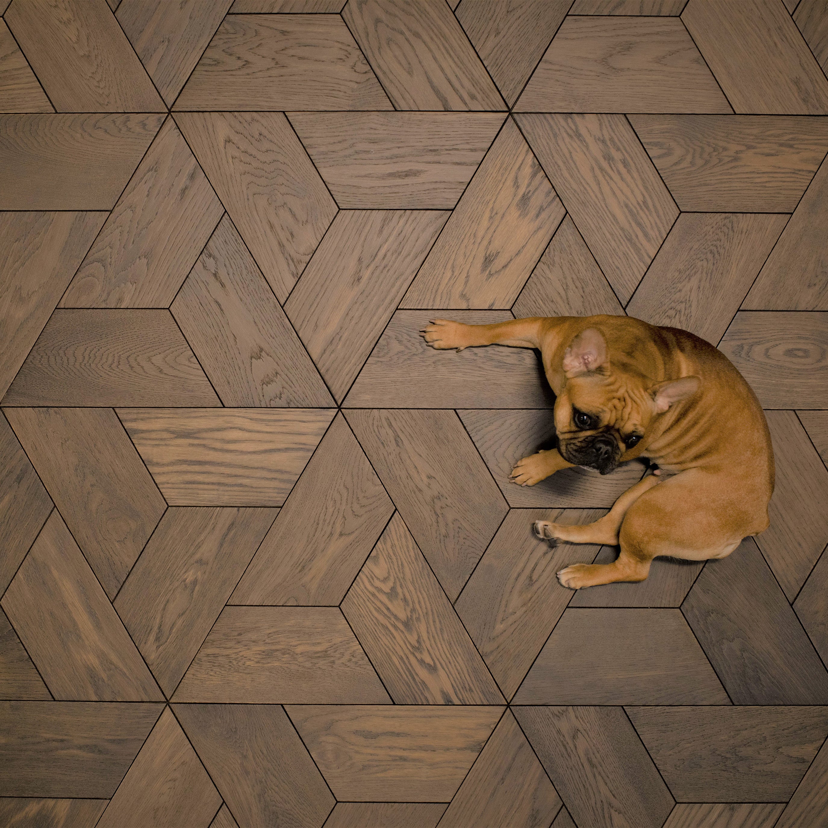 Bergamo Floors Banner