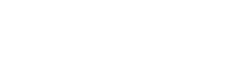 Interface logo